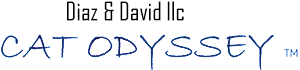 Diaz & David LLC Logo